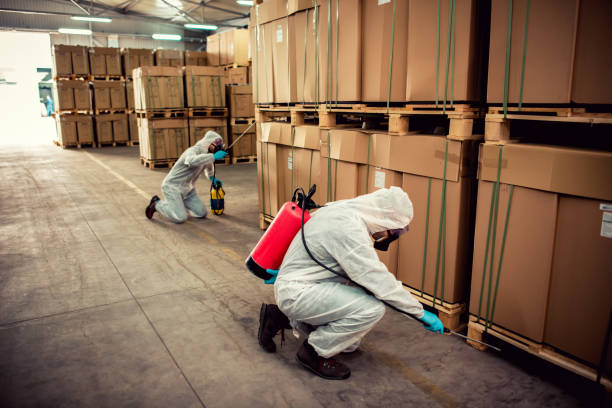 Trusted Lilburn, GA Pest Control Experts