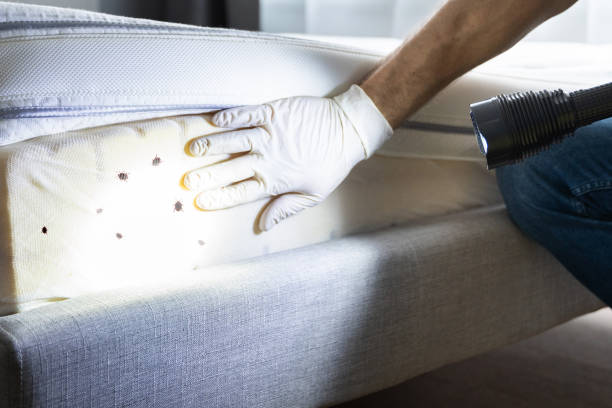 Best Best Pest Control Companies  in Lilburn, GA