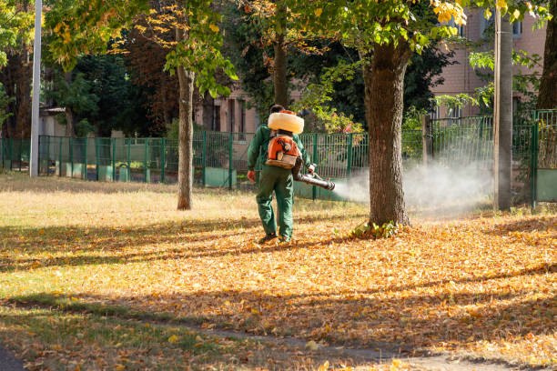 Best Flea Control Services  in Lilburn, GA