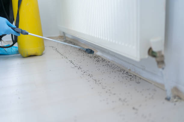 Best Emergency Pest Control  in Lilburn, GA