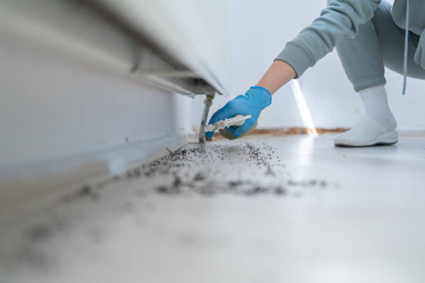 Wasp Removal Services in Lilburn, GA